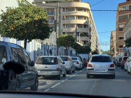 208-11-01-2026 IMG_3405